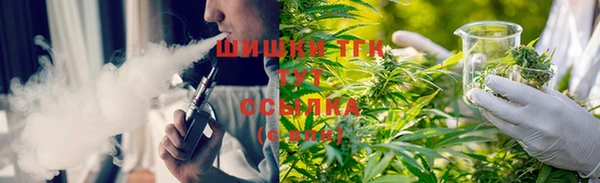 мяу мяу мука Алзамай