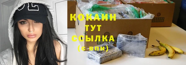 мяу мяу мука Алзамай