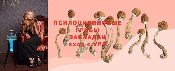 стаф Алексин