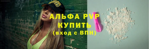 стаф Алексин
