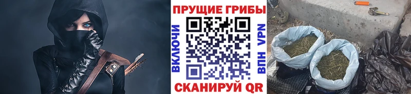 Псилоцибиновые грибы Psilocybine cubensis  даркнет сайт  Лукоянов 